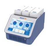 Mastergen MGP-T31 三槽梯度PCR仪