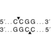 NEB R0171 HpaII(10,000 units/ml)