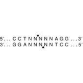 NEB R0521 EcoNI