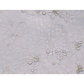 TSINGKE TC‒H0010 PLC/PRF/5 人肝癌亚力山大细胞