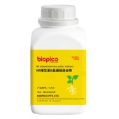 biopico YLA331 N6维生素&氨基酸混合物