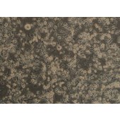 TSINGKE TC‒H0072 MDA-MB-436 人乳腺腺癌细胞