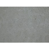 TSINGKE TC‒H0055 NCI-H3122 人肺腺癌细胞