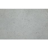 TSINGKE TC‒H0308 GES-1 人胃粘膜上皮细胞