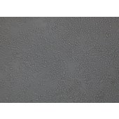 TSINGKE TC‒H0102 SW620 人结肠癌细胞