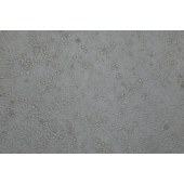 TSINGKE TC‒R0009 HePa 1-6 小鼠肝癌细胞