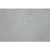 TSINGKE TC‒H0307 LX-2 人肝星状细胞