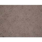 TSINGKE TC‒H0008 MHCC97-L 人低转移潜能肝癌细胞