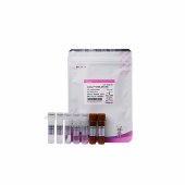 达领 DLQ102 ArtiCanATM SYBR qPCR Mix