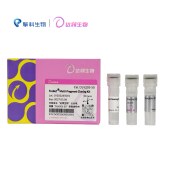 达领 DLV203-50 Trelief ® 多片段无缝克隆试剂盒