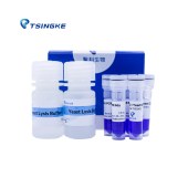 TSINGKE TSE0302 Yeast Direct PCR Kit 酵母直扩试剂盒