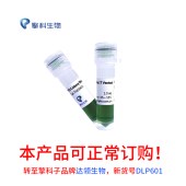 TSINGKE TSE0601 V5 Colony Direct PCR Mix（T Vector）T载体菌检试剂