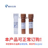 Tsingke TSE501 ArtiCanATM SYBR qPCR Mix