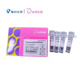 达领 DLH102 TSnanofect DNA专用转染试剂