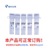TSINGKE TSQ0102 1.1×EasyQ SYBR qPCR Mix (Low ROX Premixed) EasyQ即用型染料法qPCR预混液